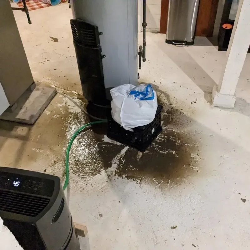 Sewage Backup Cleanup Service in Annville, KY